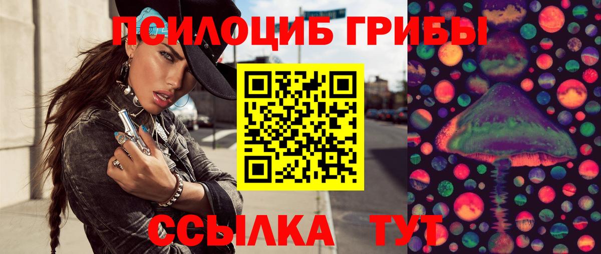 Галлюциногенные грибы мухоморы  Вход с VPN  закладки  Сальск 