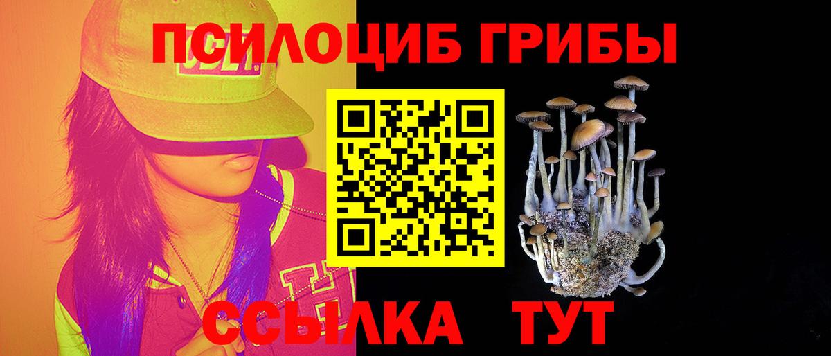 Галлюциногенные грибы Psilocybine cubensis Сальск